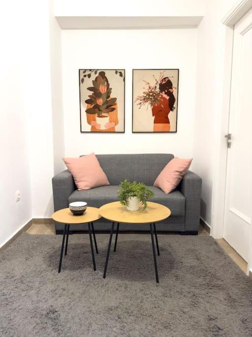 Petite Retreat In Kolonaki, Athens /Netflix Apartment Luaran gambar